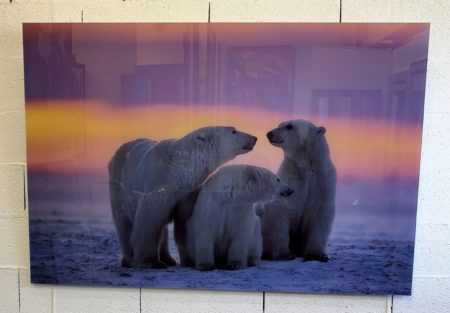 PC044N, OURS 2 – Image 2