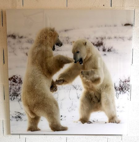 PC044O, OURS 3 – Image 2