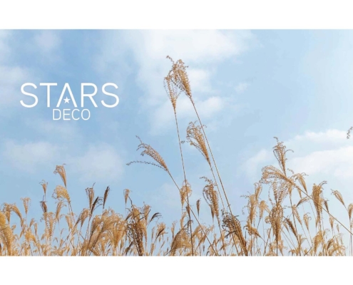 Catalogue 04 Starsdeco